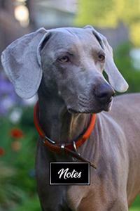 Great Dane Dog Pup Puppy Doggie Notebook Bullet Journal Diary Composition Book Notepad - Dreamy Eyes
