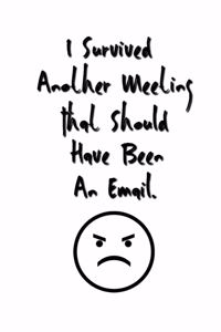 I Survived Another Meeting That Should Have Been An Email.