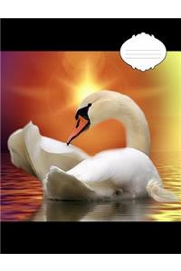 Swan in Sunlight