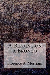 A-Birding on a Bronco