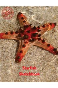 Starfish Sketchbook