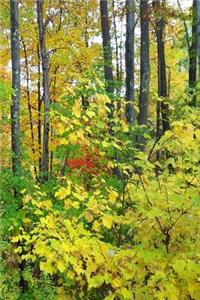 2019 Weekly Planner Nature Late Autumn 134 Pages