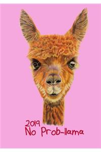2019 No Prob-Llama