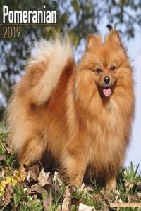 Pomeranian Calendar 2019