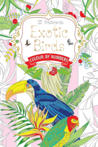Exotic Birds Postcard Book