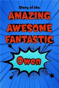 Diary of the Amazing Awesome Fantastic Owen
