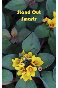 Stand Out Smarts