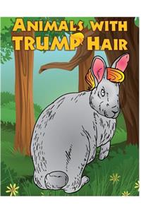 Animals with Trump Hair