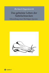 geheime Leben der Sattelschnecken