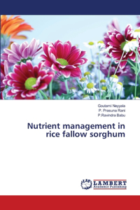 Nutrient management in rice fallow sorghum