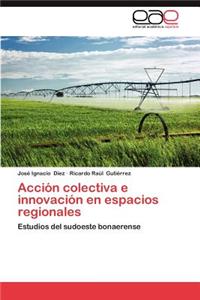 Accion Colectiva E Innovacion En Espacios Regionales