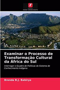 Examinar o Processo de Transformação Cultural da África do Sul