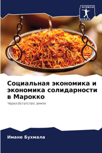 Социальная экономика и экономика солида