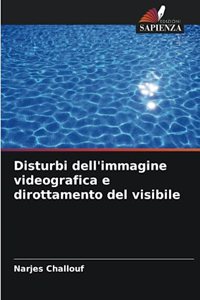 Disturbi dell'immagine videografica e dirottamento del visibile