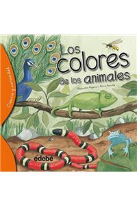 Los Colores de Los Animales