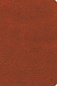 CSB Study Bible, Personal Size Edition, Burnt Sienna Leathertouch