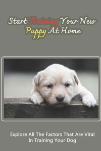 Start Training Your New Puppy At Home