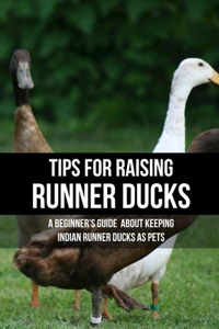 Tips For Raising Runner Ducks