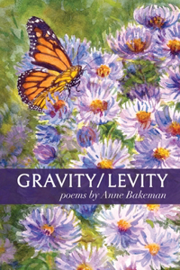 Gravity/Levity