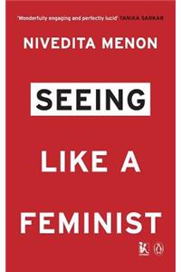 Seeing Like a Feminist