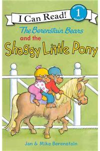 The Berenstain Bears and the Shaggy Little Pony