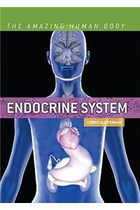 Endocrine System