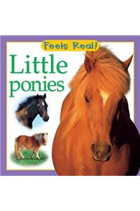 Little Ponies