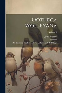 Ootheca Wolleyana