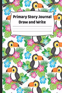 Primary Journal - Draw And Write
