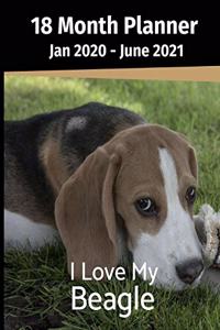 Jan 2020 - June 2021 18 Month Planner