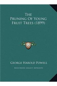Pruning Of Young Fruit Trees (1899)