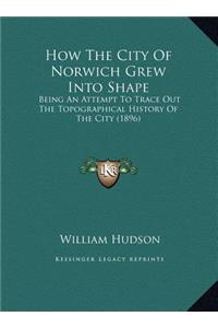 How The City Of Norwich Grew Into Shape