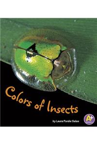 Colors of Insects