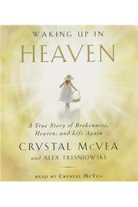 Waking Up in Heaven: A True Story of Brokenness, Heaven, and Life Again