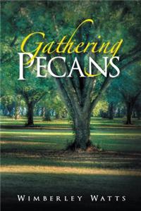 Gathering Pecans