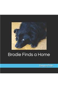 Brodie Finds a Home