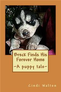 Breck Finds His Forever Home