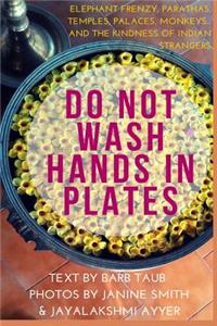 Do Not Wash Hands in Plates: Elephant Frenzy, Parathas, Temples, Palaces, Monkeys, and the Kindness of Indian Strangers