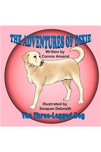 Adventures of Dixie the Three-Legged Dog