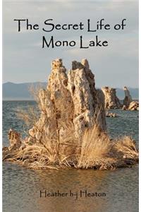 Secret Life of Mono Lake