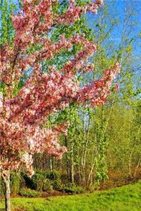 Journal Pretty Spring Flowering Tree