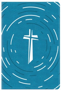 Daily Wisdom for Boys Skjv Devotional Bible