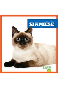 Siamese
