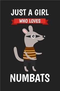 Just A Girl Who Loves Numbats