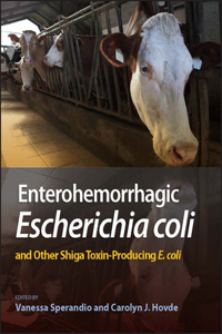 Enterohemorrhagic Escherichia Coli and Other Shiga Toxin-Producing E. Coli