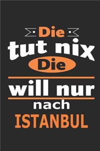Die tut nix Die will nur nach Istanbul