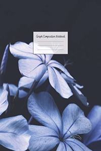 Graph Composition Notebook