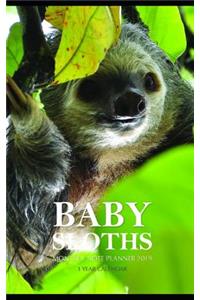Baby Sloths Monthly Note Planner 2019 1 Year Calendar