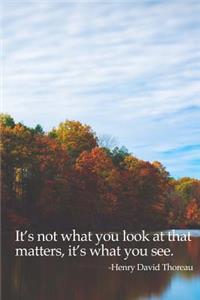 It's Not What You Look at That Matters, it's What You See Journal