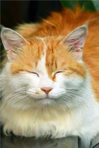 Happy Cat Notebook